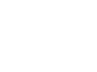 STRIKE FORCE