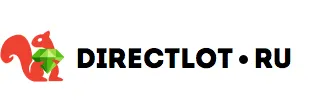 directlot logo