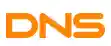 DNS logo