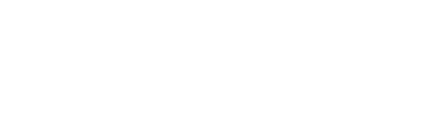 Fenix Tattoo logo