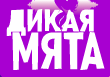 Дикая мята logo