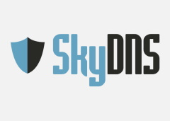 SkyDNS logo